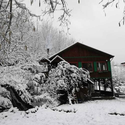 Yesil Dus Vadisi Bungalow Restoran