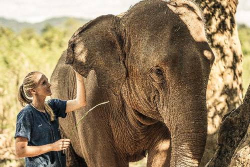 Anantara Golden Triangle Elephant Camp & Resort