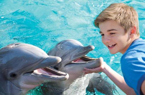 Holiday Inn Express San Diego- Sea World