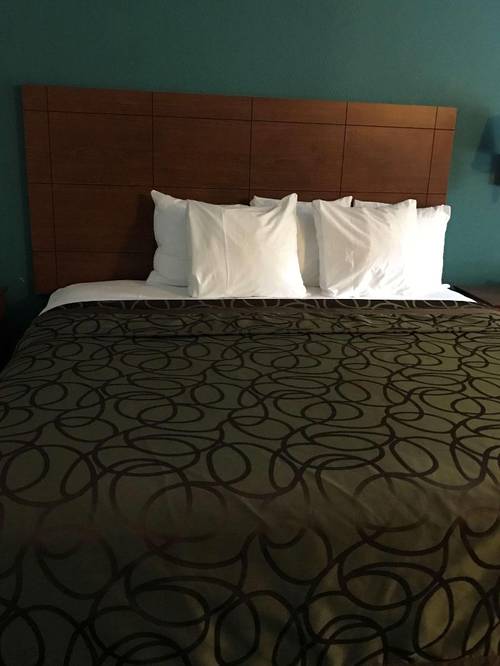 Best Western Tallahassee-Downtown Inn & Suites