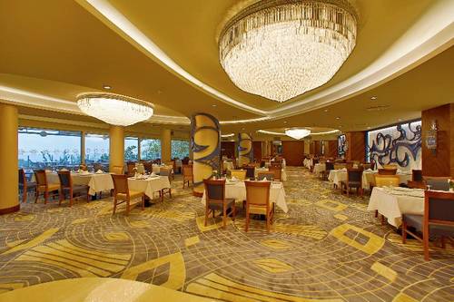 Anemon Bursa