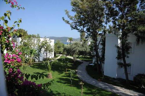 Mavi Suite Turkbuku