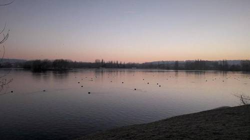 Eden Park