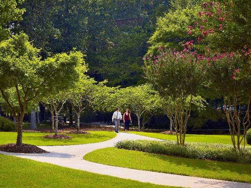 Sonesta Gwinnett Place Atlanta