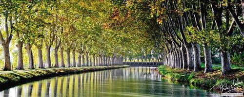 ibis budget Narbonne Sud