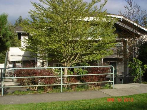 Quality Inn & Suites Bainbridge Island
