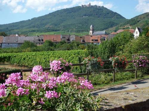 Hotel Vignette Alsace