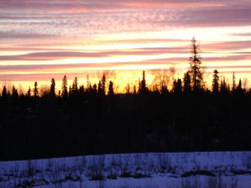 Aspen Soldotna