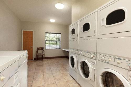 Staybridge Suites Tampa East- Brandon