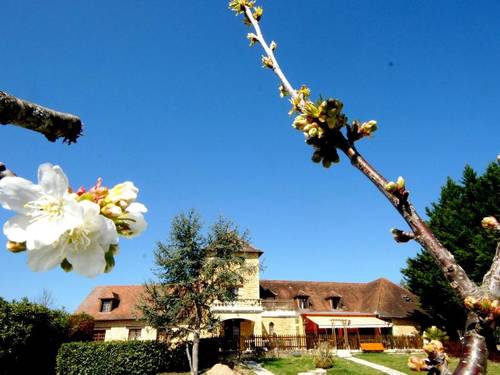 Hotel Les Collines