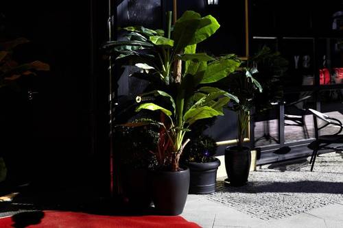Provocateur Hotel, part of Sircle Collection.