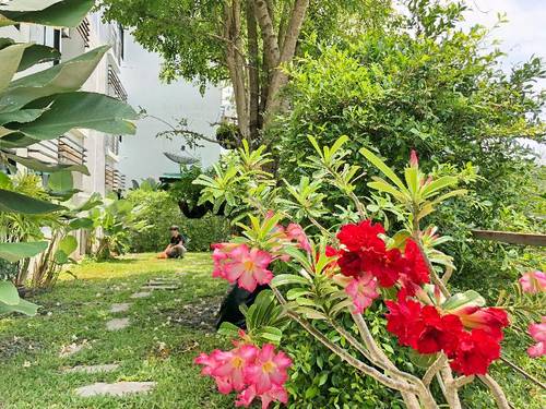 Ideo Phuket Hotel