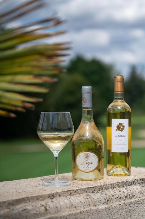 Domaine de Vaugouard – La Maison Younan