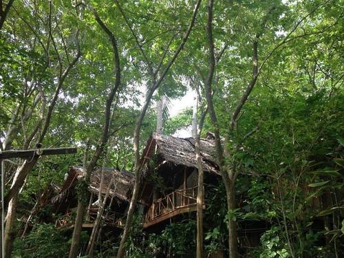 Viking Nature Resort