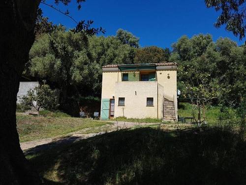 A Casa Di L'Alivu