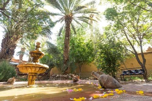 Ecolodge - La Palmeraie