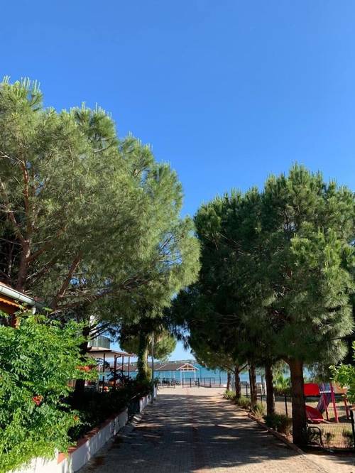 Hotel Fiesta Beach Didim
