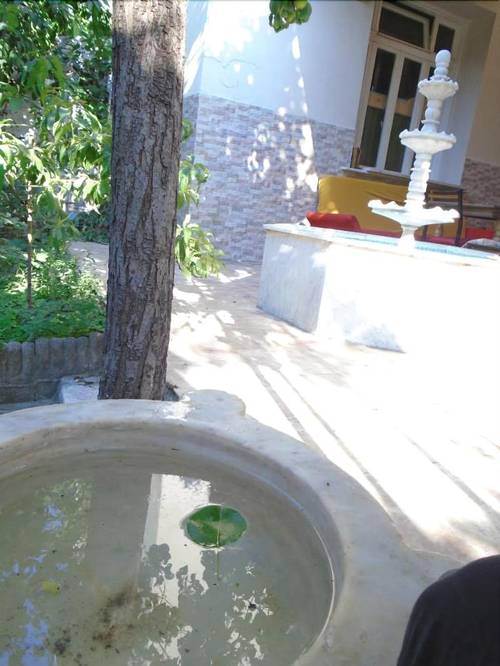 Lotus Garden Hostel