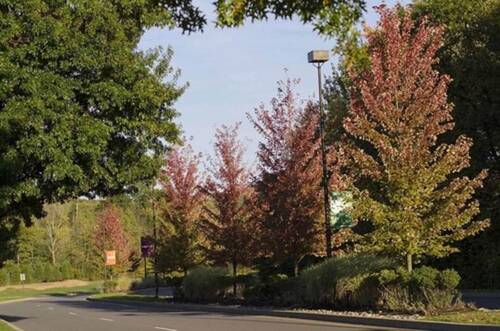 Mohegan Pennsylvania - Adults Only