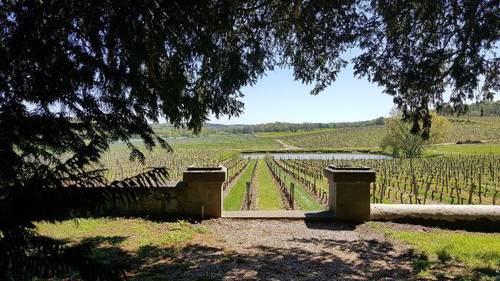Les Secrets Chateau Pey La Tour