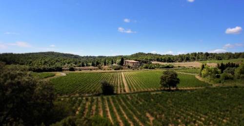 Domaine De Palatz