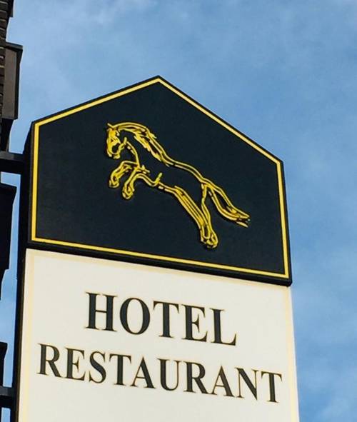 H&S Hotel Wildpferd