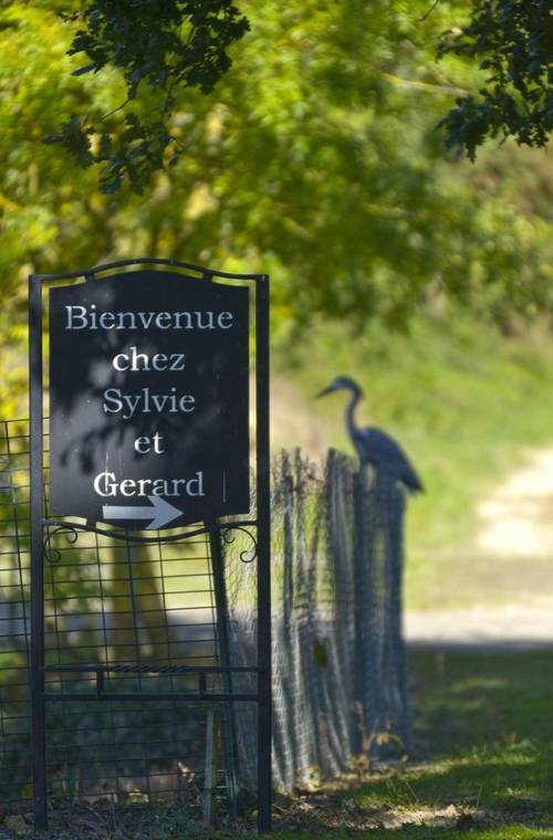 Domaine De La Cour