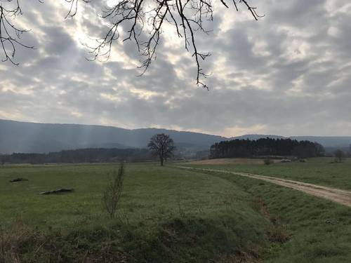 Domaine La Reveille