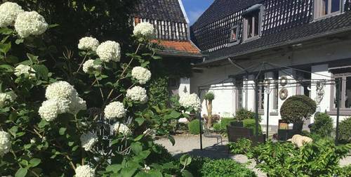 La Ferme Des Buis