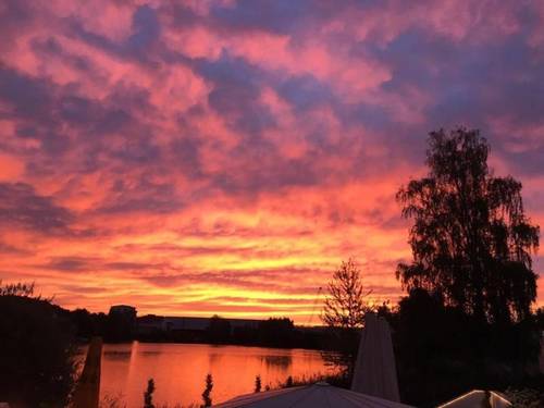 Seehotel Forst
