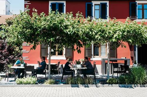 Logis Hotel Au Lion Rouge
