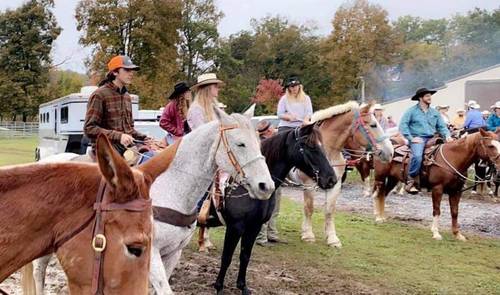 Country Aire Bed Breakfast