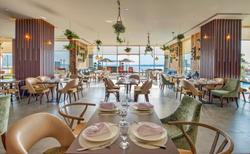 Royal Central The Palm