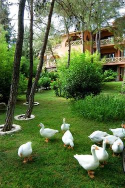 Martı Myra Hotel Kemer