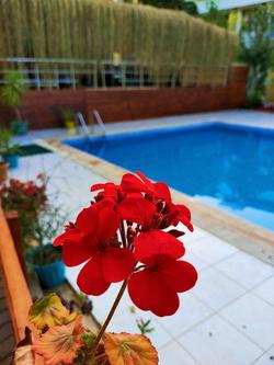 Eldorado Hotel Adrasan