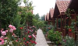 Portakal Bahçesi