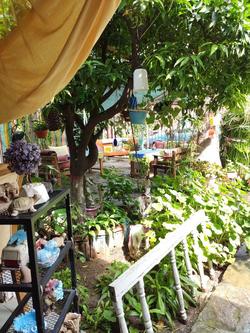 Side Tuana Garden Home