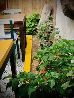 Atesin Konuk Evi