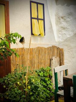 Atesin Konuk Evi
