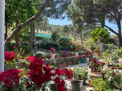 Günebakan Taliani Hotel
