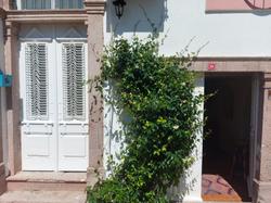 Mimosa House Ayvalik