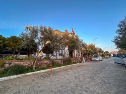 Nesos Pansiyon Cunda