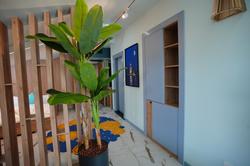 Dream House Moonlight