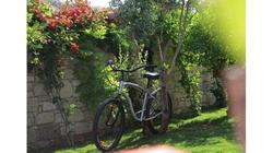 1890 Swan Deluxe Otel