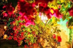 Sari Gelin Butik Otel