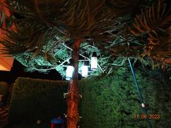 Surya Butik Otel Alaçatı