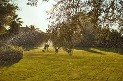 Ilcayto Suites +12 Adults Only