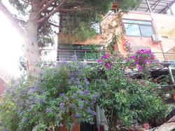 İzmir Tatil Evi