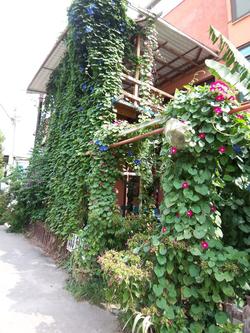 İzmir Tatil Evi
