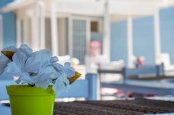 Minerva Port Hotel Çeşme